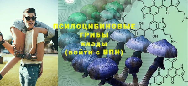 PSILOCYBIN Абинск