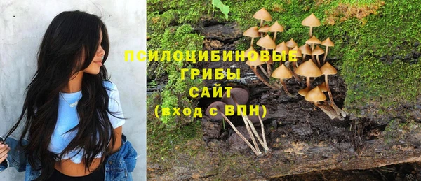 PSILOCYBIN Абинск