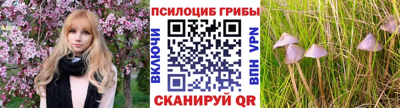 Псилоцибиновые грибы Psilocybe  Электроугли 